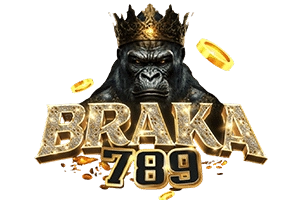 BRAKA789